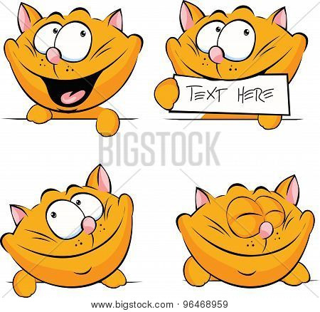 Cute Ginger Cat Peeking Out, Holding Tag, Sleeping And Smiling On Whit A Background