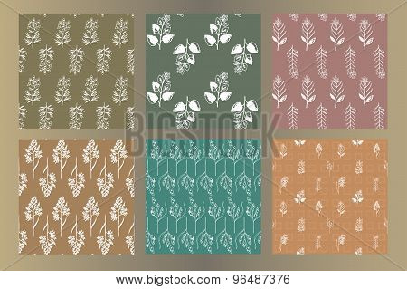Set of seamless vintage hand drawn ink  herbal patterns