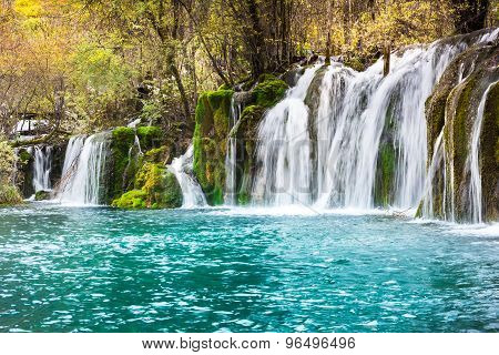 Arrow Bamboo Waterfall Jiuzhaigou Scenic