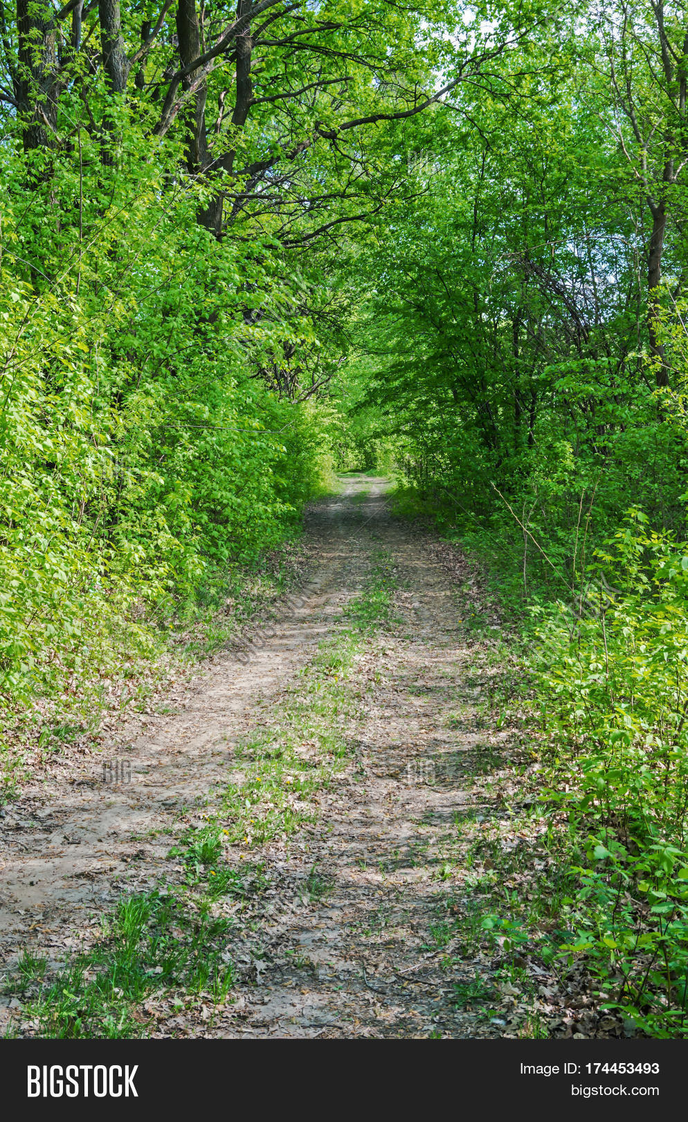 Meandering View Road Image & Photo (Free Trial) Bigstock