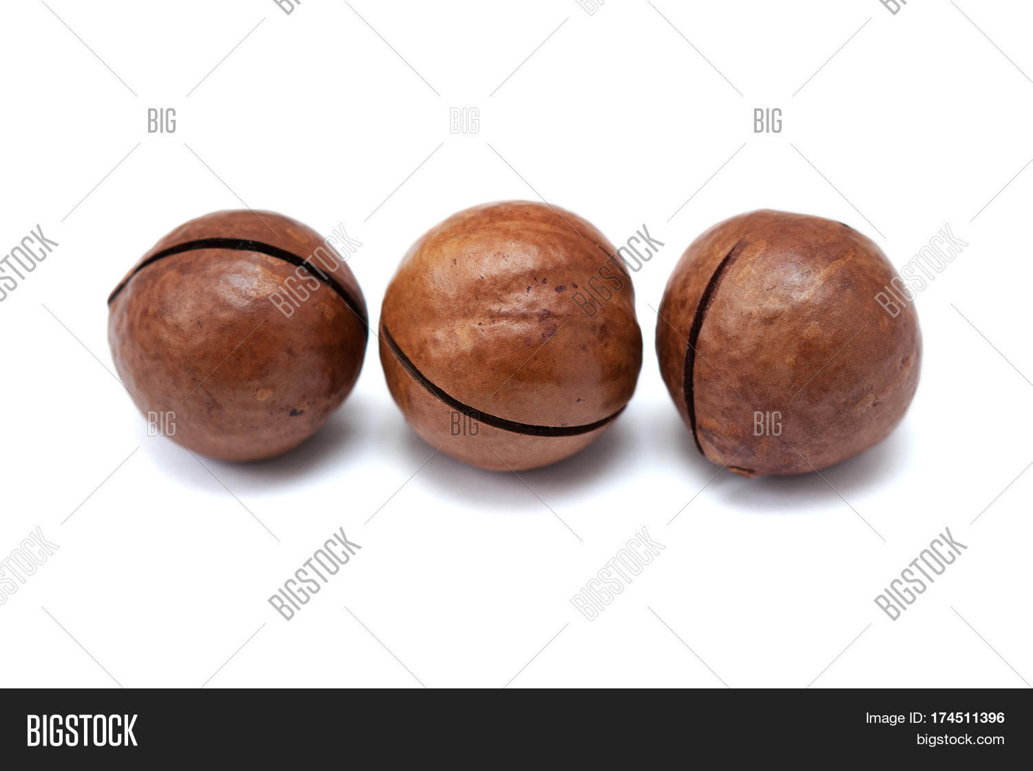 Macadamia Nuts Shell Image & Photo (Free Trial) Bigstock