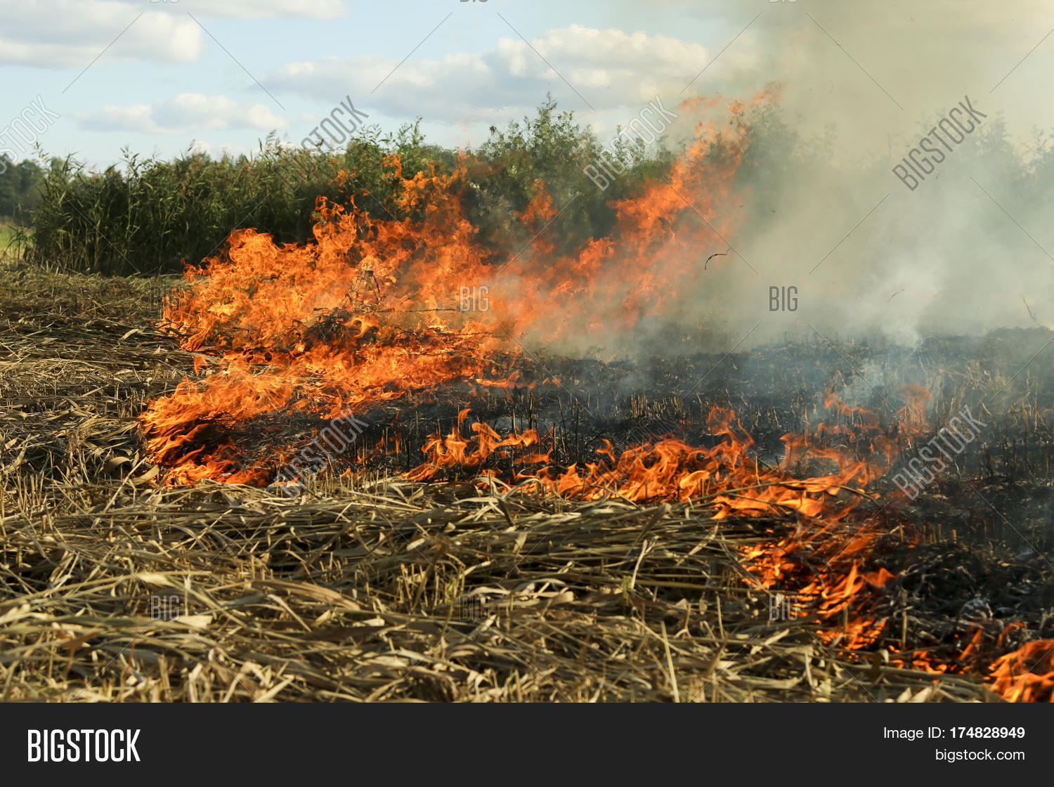Spring Fire. Burning Image & Photo (Free Trial) Bigstock