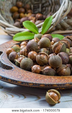 Macadamia nuts harvest close up with leaves