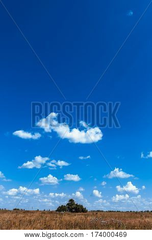 Country scene with field against blue sky