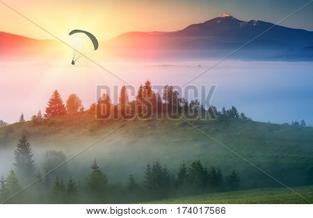 Paraglide silhouette flying above misty carpathian hills against majestic sunrise in a mountain valley