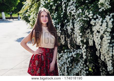 Beautiful Model Range Bush Of White Flowers