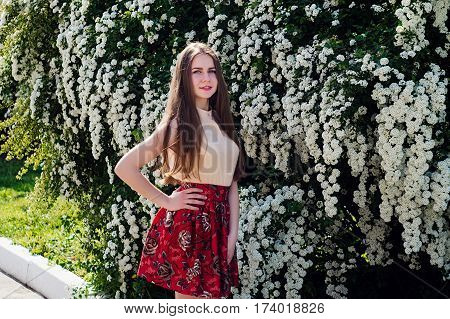 Beautiful Model Range Bush Of White Flowers