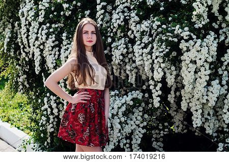 Beautiful Model Range Bush Of White Flowers