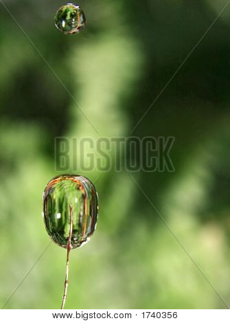 Img_3948