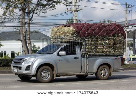 Private Isuzu Dmax Pickup Truck