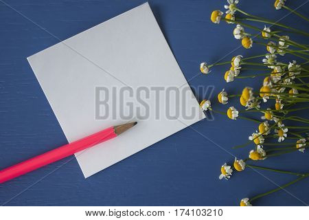 Daisy bouquet with pink pencil and sticker on blue wooden background