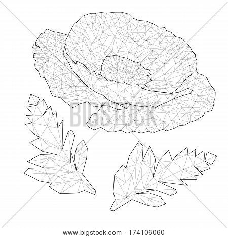 tender mosaic poppies for coloring and design. isolated on white background. vector illustration.