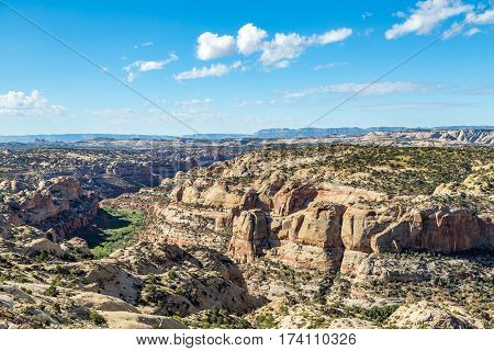 Calf Creek Recreation Area is a premier stop along Scenic Byway 12 in Grand Staircase-Escalante National Monument. This desert oasis includes a 13-site campground a day-use picnic area and trailhead.