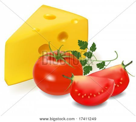 Fotorealistisk vektor illustration. Ost med tomat.