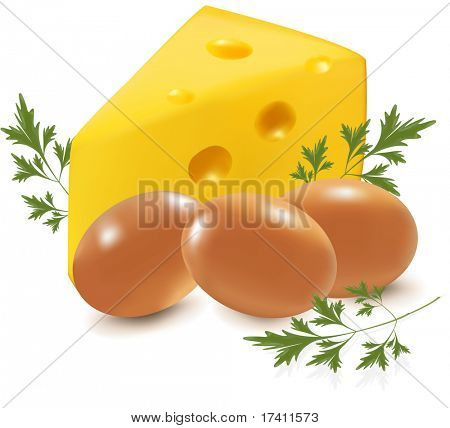 Ilustración de vector fotorrealistas. Queso y los huevos con el perejil.