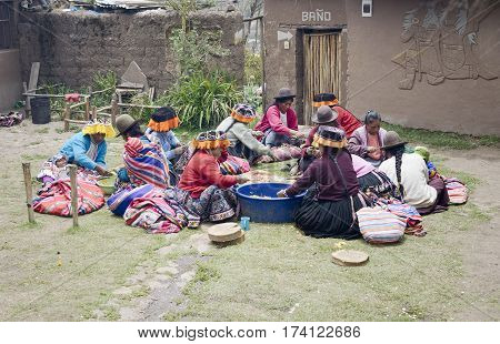 Indigenous women cutting potatoes for a local wedding ceremony Paru Paru the highest-altitude community in La Parque de la Papa Andes Mountains. October 22 2012 - Paru Paru Peru