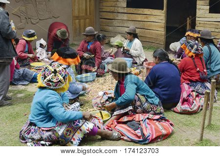 Indigenous women cutting potatoes for a local wedding ceremony Paru Paru the highest-altitude community in La Parque de la Papa Andes Mountain Peru