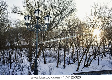 snowy day in the park lamp with a warm light of the sun