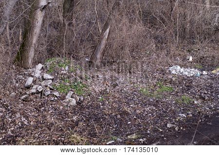 Garbage Dump In Old Park