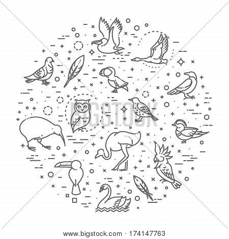 Set of different birds. Vector line icons