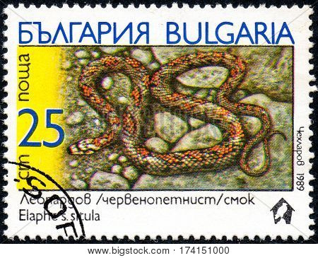 UKRAINE - CIRCA 2017: A stamp printed in Bulgaria shows the image snake with the description Elaphes s.situla from the series Snakes circa 1989