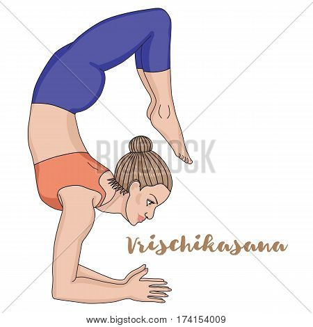 Women silhouette. Scorpion yoga pose. Vrischikasana Vector illustration