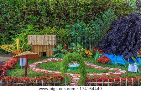 Beautiful Flower in park and garden in New Delhi, India