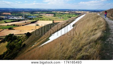 Panoramic picture with view on the White Horse hill in Westbury in England.