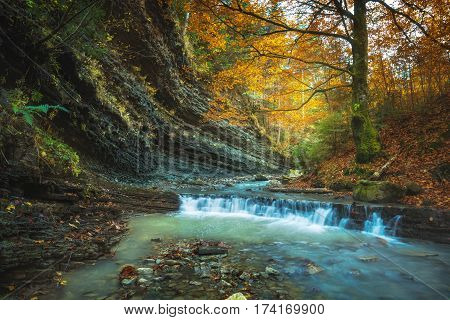 Autumnal carpathian forest rocks covered with moss fallen leaves. Mountain river with rapids and waterfalls at autumn time.