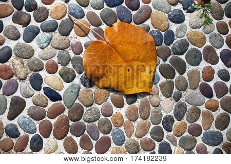 yellow leaf against pebbles; focus on the pebbles