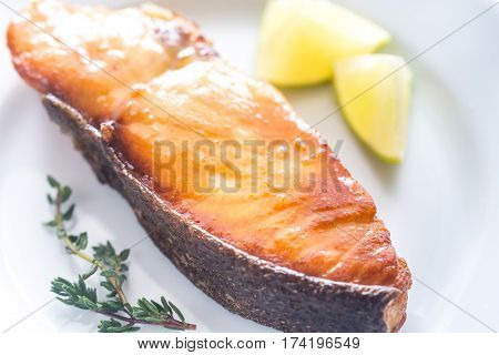 Roasted fish steak with lemon slices on the plate
