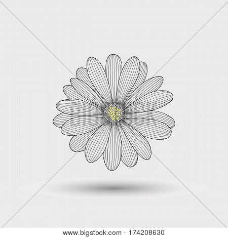 Abstract floral background. Hand drawing flower chamomile .Element for design.