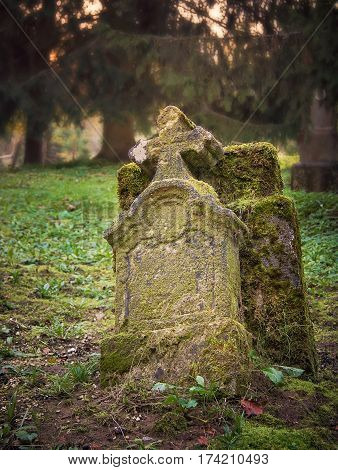 Old mossy tombstone in the abandoned cemetery