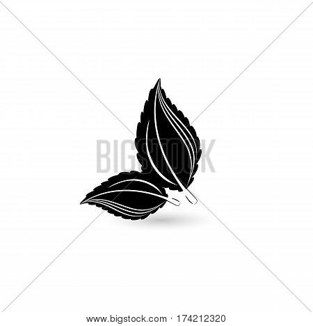Isolated black leaf. Element for design. Vector illustration.