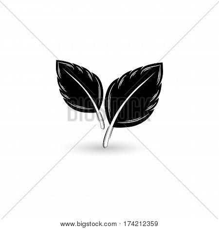 Isolated black leaf. Element for design. Vector illustration.