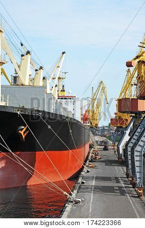 Bulk Cargo Ship Under Port Crane