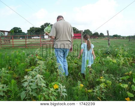 Walking In The Cabbage Patch