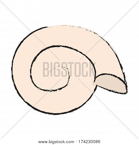 molusk icon over white backgronund. vector illustration