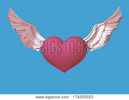 isolated engraving pink symbol heart with wings illustration