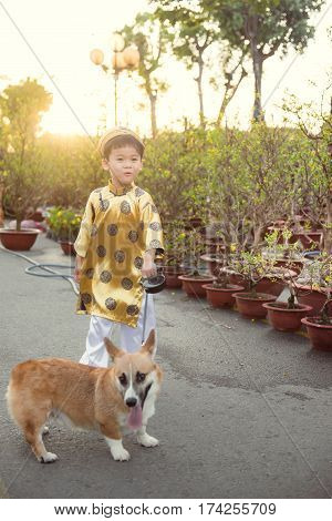 Happy kid having fun with traditional dress (ao dai) in Ochna Integerrima (Hoa Mai) garden. Hoa Mai flower is used for decoration in lunar new year in Vietnam. Tet holiday.