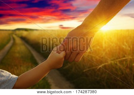 hands of the parent and litlle child in field on road 