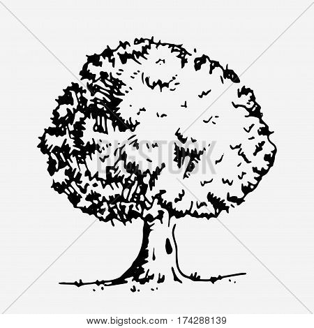 Tree with green leaves. Hand drawn vector stock illustration Black and white whiteboard drawing.