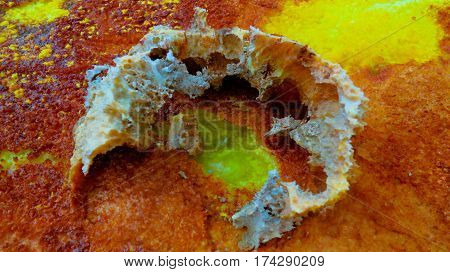 Salt structure close-up inside Dallol volcanic crater in Danakil depression Afar Ethiopia