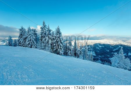Winter Carpathian Mountains Landscape, Ukraine.