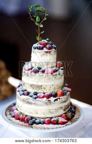 Delicious Chocolate Wedding Cake Decorated With Fruits And Berries