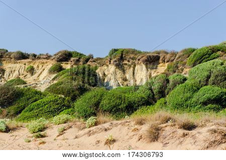 Ionian sea coastline at gerakas beach in Zakynthos island
