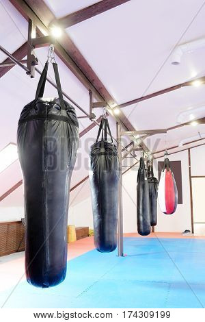 Interior of a boxing hall