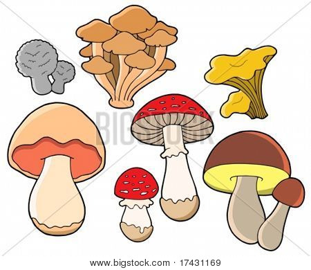 Various fungi collection - vector illustration.