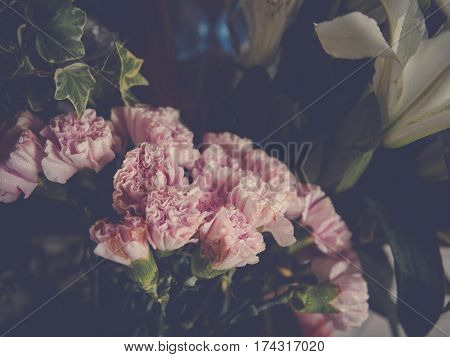 Flower Shop Retail Blooming Plant Store