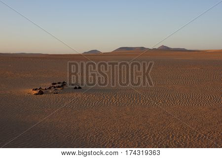 Slope hill sand on yellow dunes on sky background. Sunrise, morning. Sustainable ecosystem. Canary island, Fuerteventura